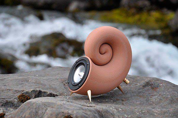 Spirula