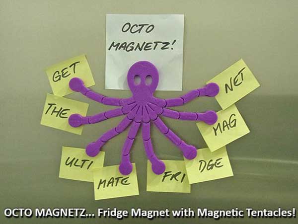Octo Magnetz 3d